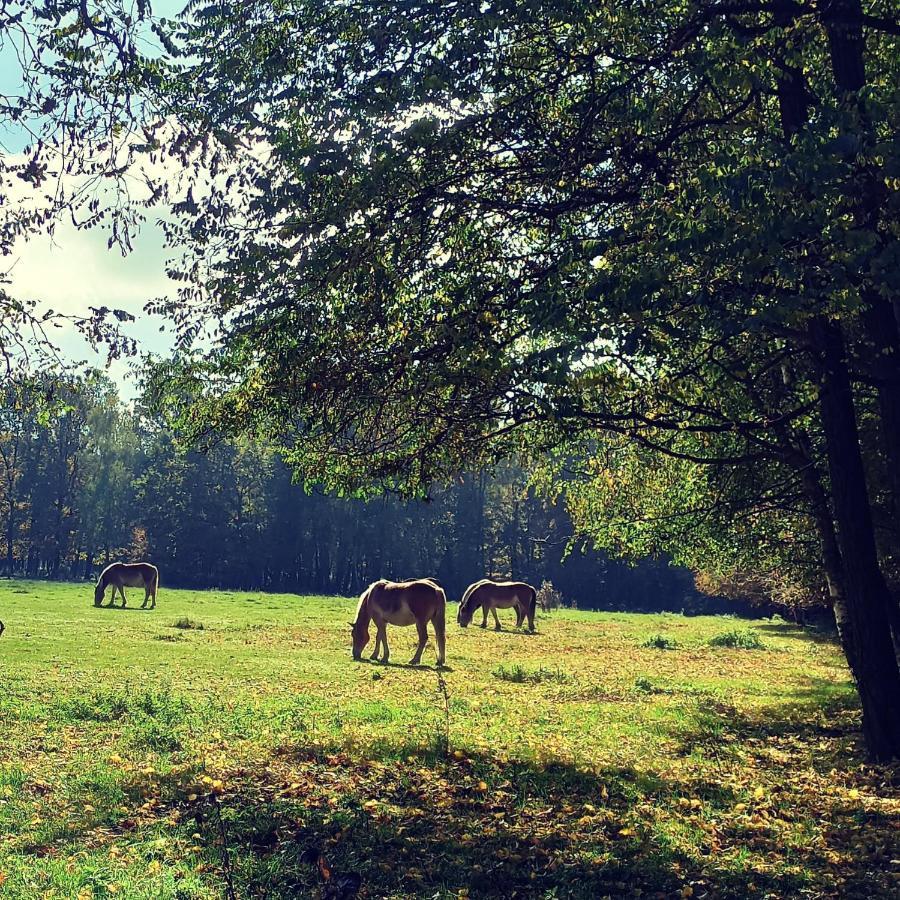 Domek W Poleskim Parku Urszulin  Buitenkant foto