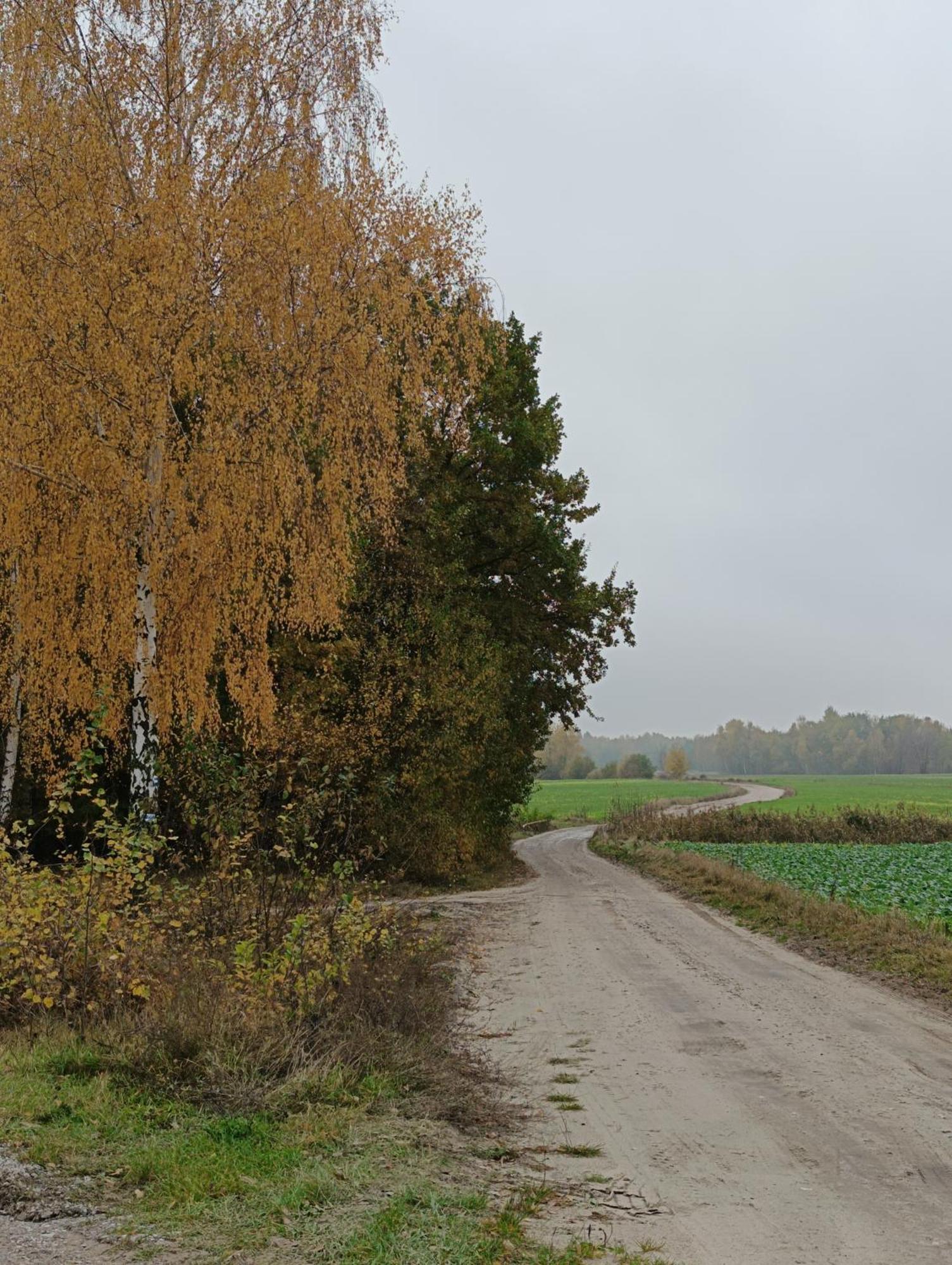 Domek W Poleskim Parku Urszulin  Buitenkant foto